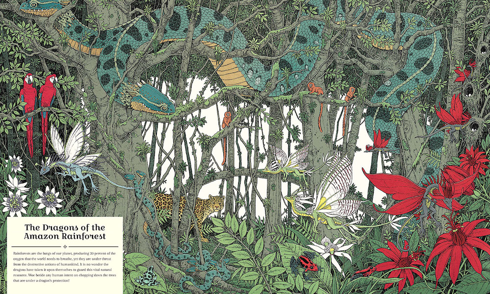 The Dragon Ark Cover32