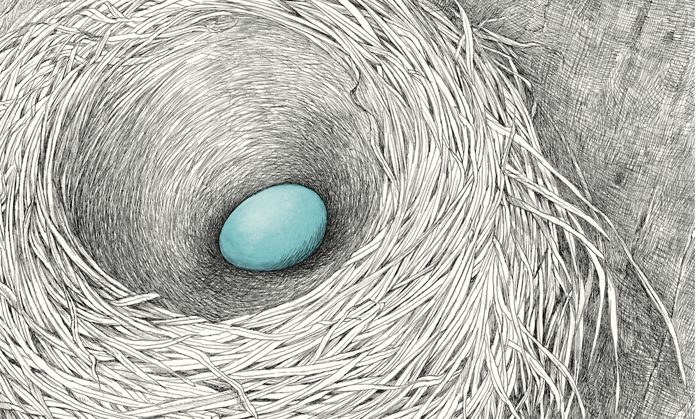 Nesting Cover87
