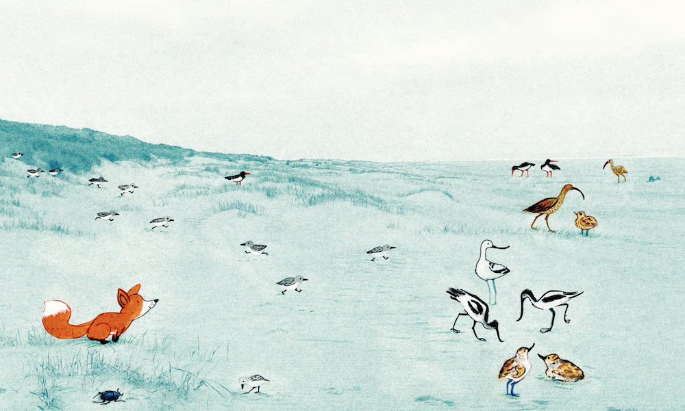 Little Fox Cover76