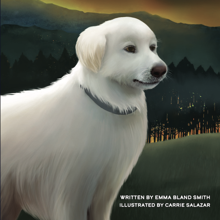 Odin from Odin, Dog Hero of the Fires Cover78